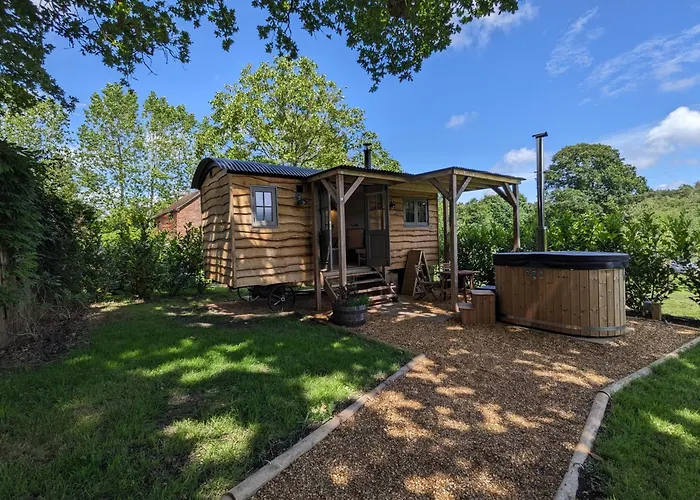 Hut In The Forest